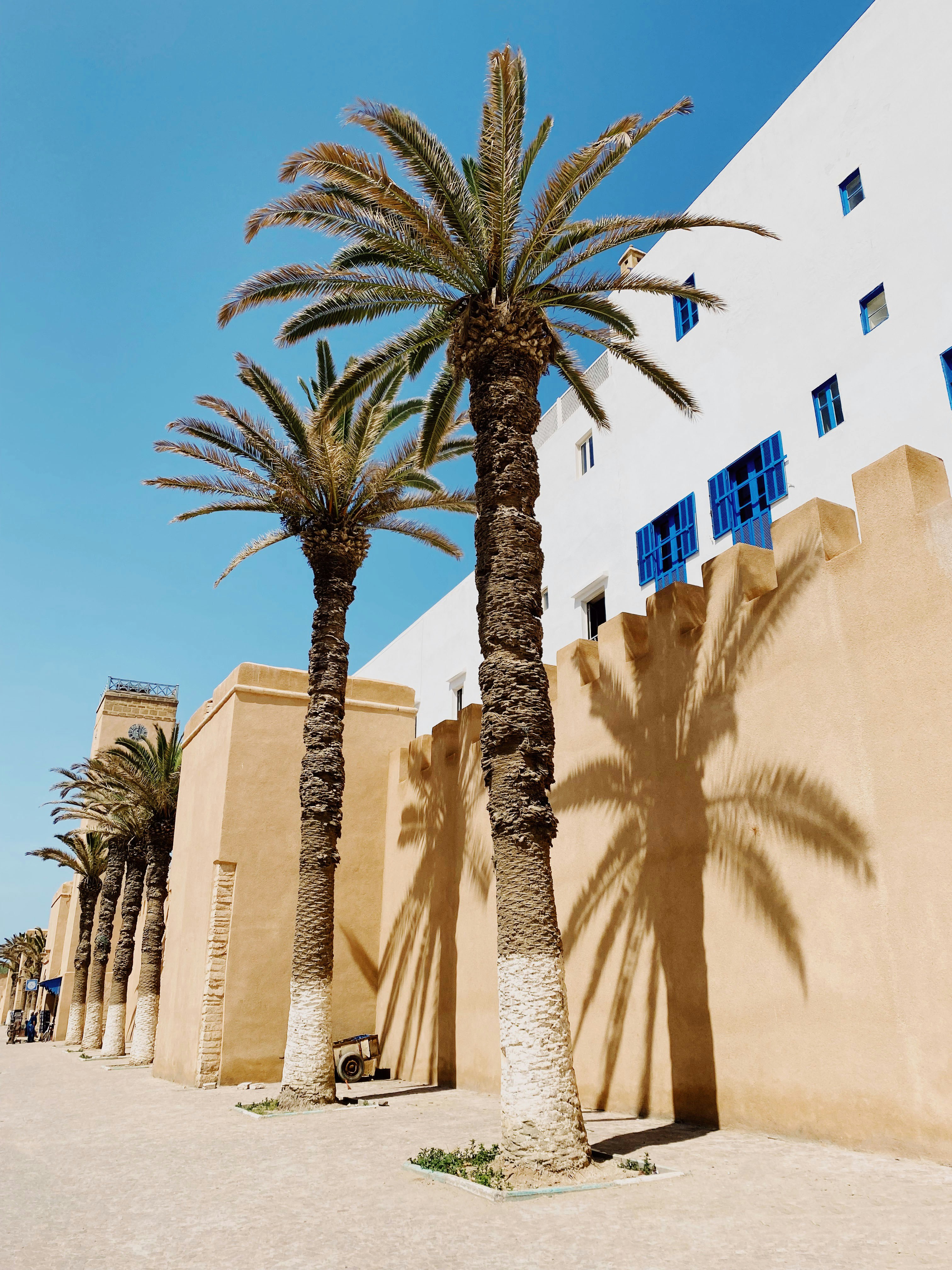 Essaouira